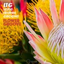 Ltg Long Travel Groove - Point of Break (Original Mix)