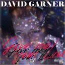 David Garner - Give Me Your Love (Original Mix)