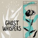 silvershore - interlude; frail (Original Mix)