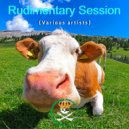 Rhiannon Phelps - Rudimentary Session