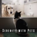 Chill Hip-Hop Beats & Pet Care Music Therapy & Pet Music - Pet-Relaxation Anthem ()