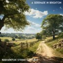Bridgerton String Ensemble - The Modiste's Modern Makeover