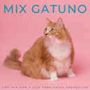 Música Ambiente & Jukebox de música de gato & Solo para gatos - Noche Húmeda
