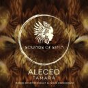 Aleceo feat. Alexandros - Sitar Dance (Sadhguru blessing)