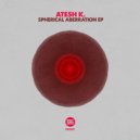 Atesh K. - Subgame
