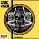 Dark Vision - What Did We Do