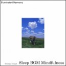 Sleep BGM Mindfulness - Radiant Glow (Original Mix)