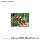 Sleep BGM Mindfulness - Blissful Reflections
