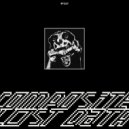 Lost Data - 1981
