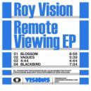 Roy Vision - Vagues