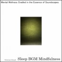 Sleep BGM Mindfulness - The Calm of the Night, Whispering Promises of Peace