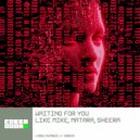 Like Mike, Matara, Sheera - Waiting For You