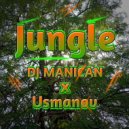 DJ MANICAN & Usmanov - Jungle ()