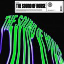 HÄWK & Azooland - The Sound Of House