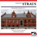 Orchestra of Vienna Volksoper - Strauss - Eljen A Magyar Op. 332 ()