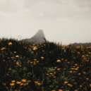 Domy Castellano - The Rain on the Plain