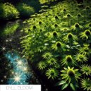 Idyll - Bloom