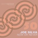 Joe Silva - Now Or Never