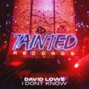 David Lowe - I Don\'t Know (Original Mix)