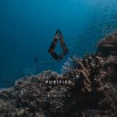 Nightlapse - Weightless