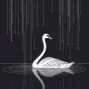 N61 - Swan ()