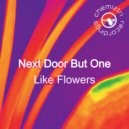 Next Door But One - Like Flowers