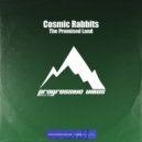 Cosmic Rabbits - The Promised Land (Original Mix)
