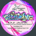 DJ Junk - Firebird (Original Mix)