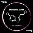 Brendan James - XTSY (Original Mix)