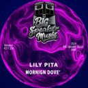 Lily Pita - Morning Dove