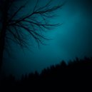 N61 - Far ()