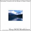 Sleep BGM Mindfulness - Intimate Connection of Mindful Sleep