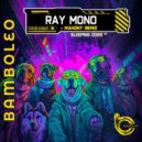Ray Mono - Space Junk (Original Mix)
