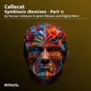 Callecat, Meeting Molly - Unified Formulas (Digital Mess Remix)