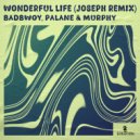 Badbwoy, Palane & Murphy - Wonderful Life (JOSEPH (CH) Extended Remix)