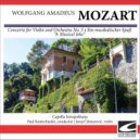 Capella Istropolitana - Mozart - Ein musikalischer Spaß (A Musical Joke) KV 522 - Allegro ()