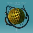 Peer Kusiv & Rauschhaus & Adrinalin - Tension (Original Mix)