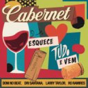 DOM No Beat, Dri Santana, Larry Taylor, Ro Ramires - Cabernet (Esquece tudo e vem) (Original Mix)