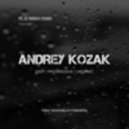 Andrey Kozak - Platinum Rain (Organic Mix)