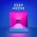 Monoloop - Shake Dat Ting