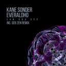 Kane Sonder & Everaldho & Seb Zen - Can You See (Seb Zen Remix)