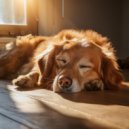 Siempre Lloviendo & Cachorros Bebes Orchestra & Amigo Canino Sonidos - Canino Confortable Con Lofi Pistas ()