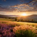 Lista de reproducción para relajarse temprano en la mañana & Meditación Perfecta & Meditación Relaja - Melodía De Claridad Meditativa ()