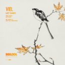 VieL - Last Chance (Alley SA Remix)