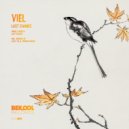 VieL - Last Chance (Original Mix)