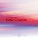 Andrea Portera - [Spettri Crisalidei] in [D minor], [DMN002]: [1]. [Spettri Crisalidei]