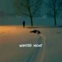 VOLCHKOV - winter night ()