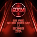 Djs Vibe - Intense House Mix 12 (December ()