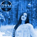 Djs Vibe - Vocal Trance Mix 2024/2025 (Winter Edition) ()