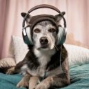 Lofi Study Man & Dog Music Club! & Dog Music Collections - Groove into Rest